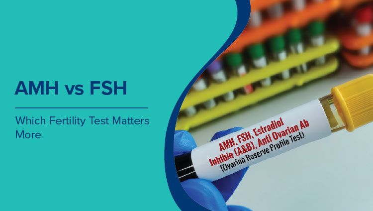 AMH vs FSH: Which Fertility Test Matters More