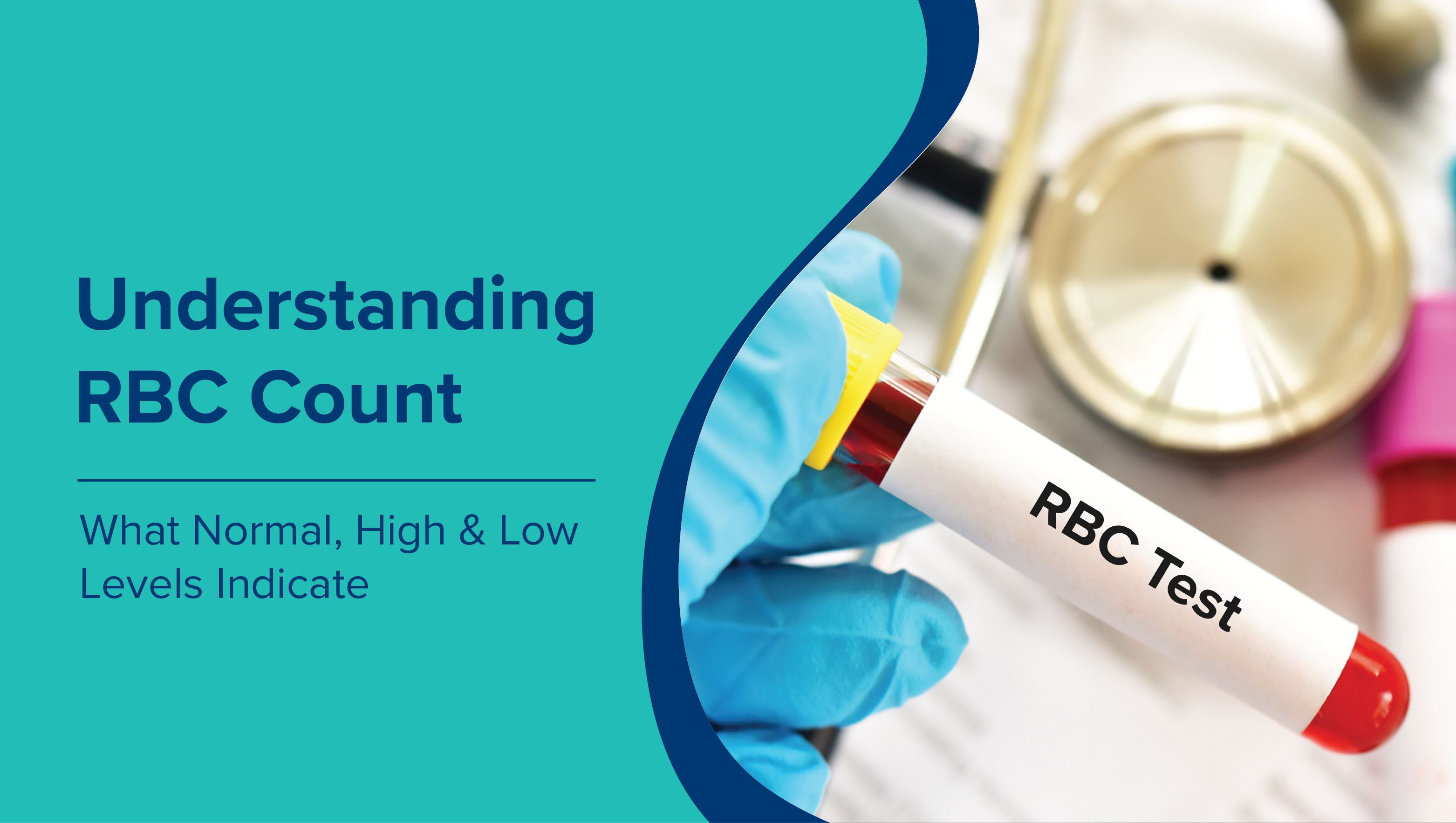 Understanding RBC Count: What Normal, High, and Low Levels Indicate