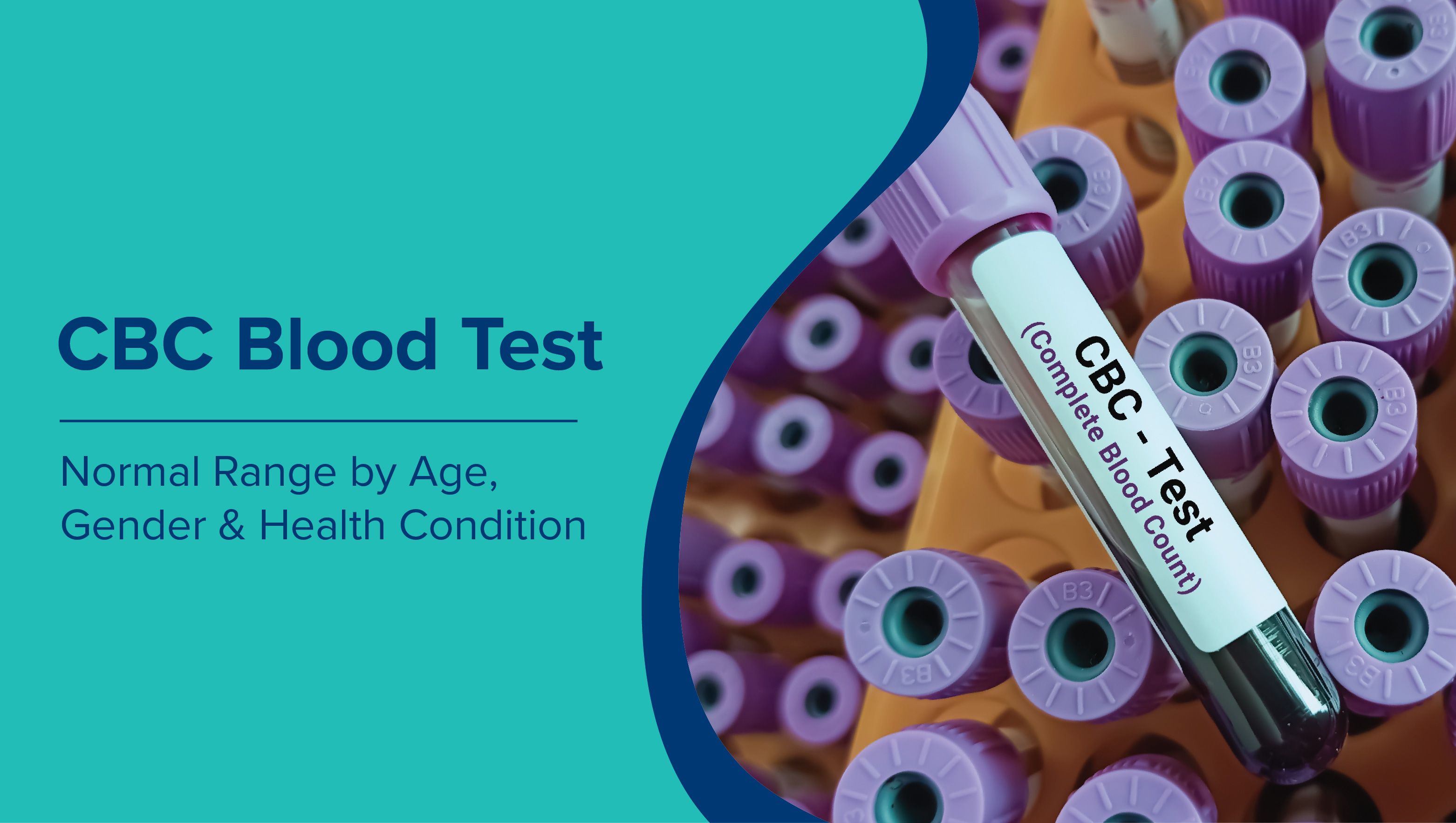 CBC Blood Test Normal Range by Age, Gender and Health Condition