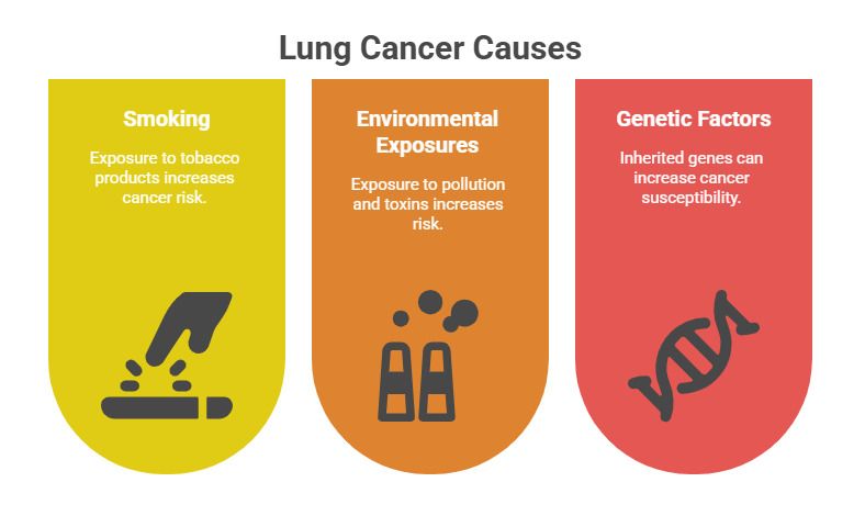 Lung Cancer Causes