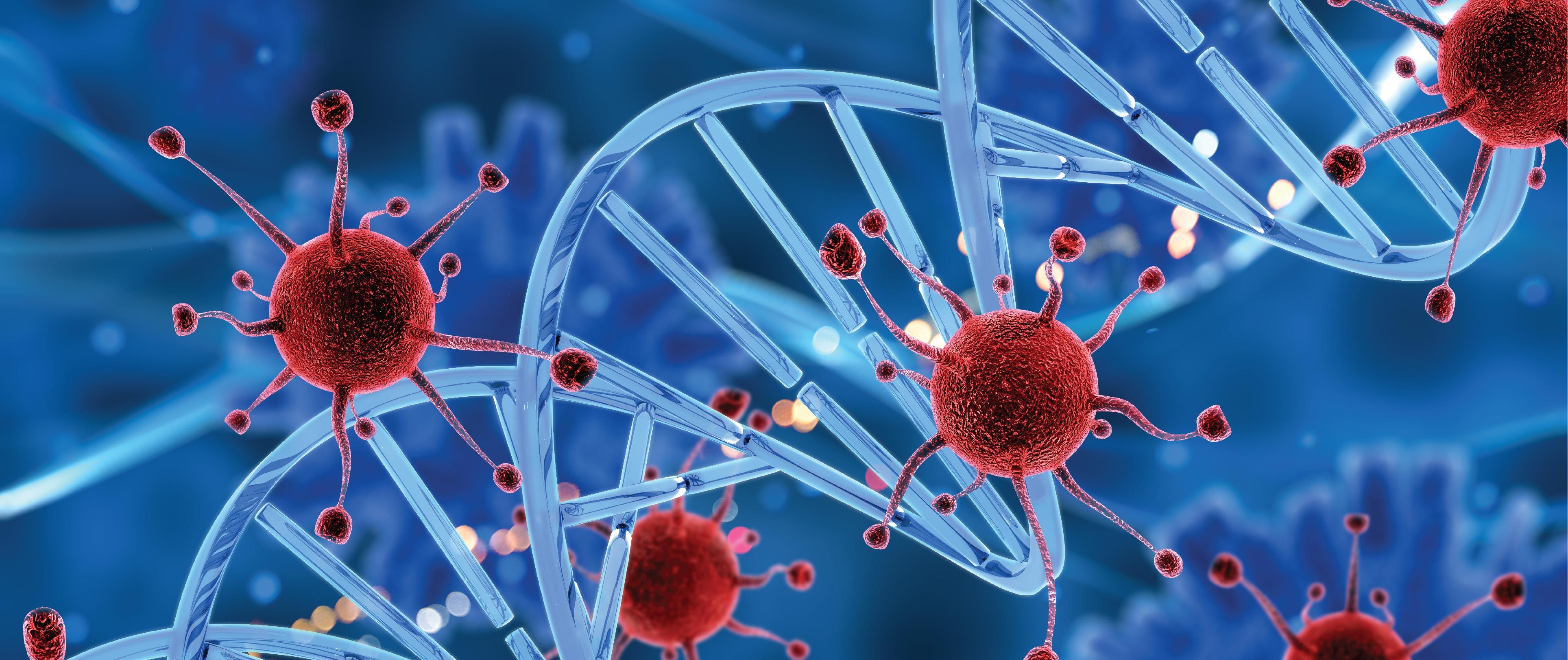 Blood is known to contain 3 major sort of cells