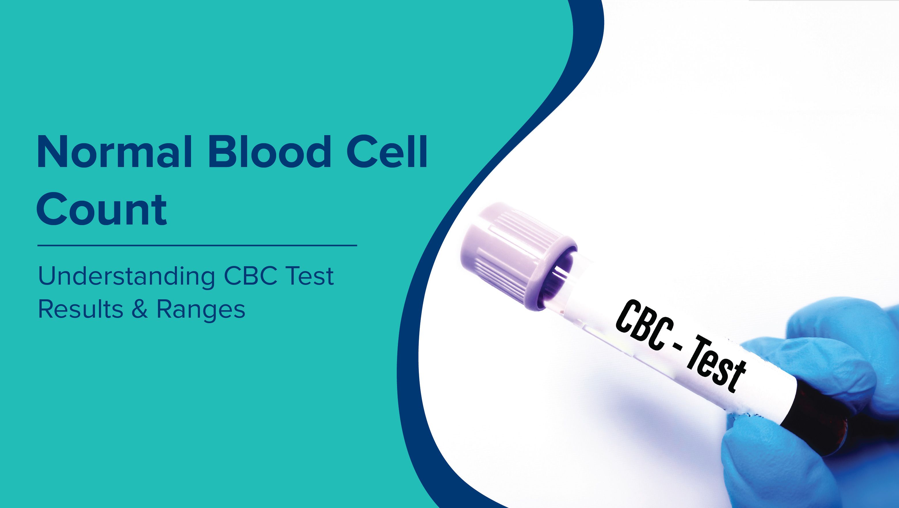 Normal Blood Cell Count: Understanding CBC Test Results and Ranges