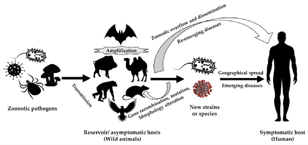 Reemerging_Zoonotic_figure_1