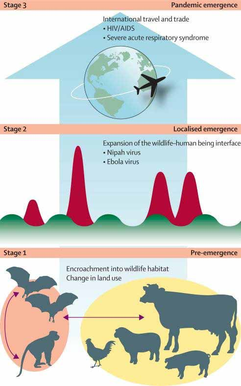 Reemerging_Zoonotic_figure_2
