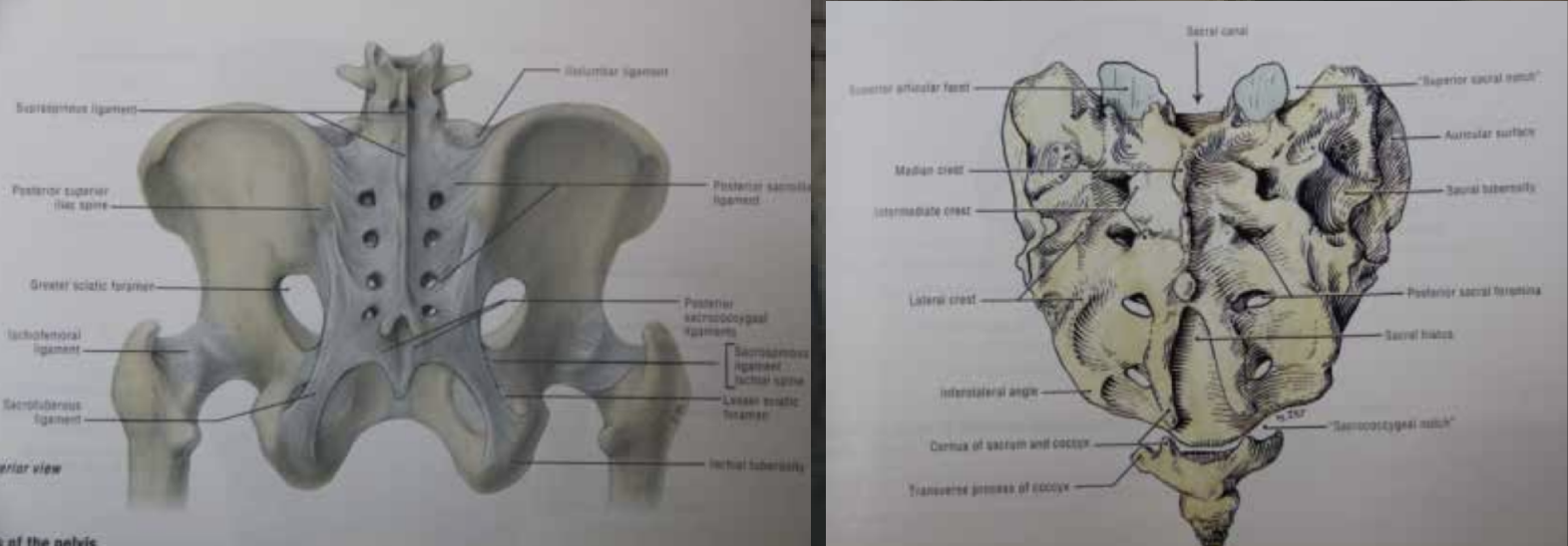 missing image