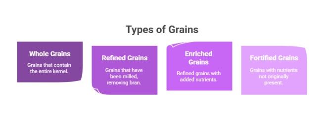 Types of Grains