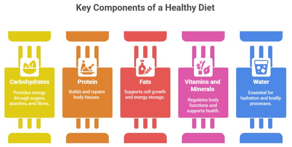 What Are the Key Components of a Healthy Diet