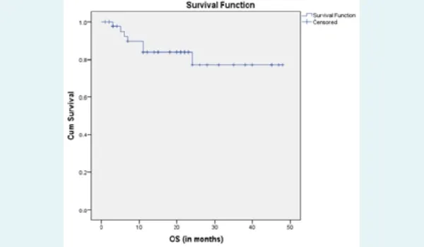 Kaplan–Meier survival curve for overall survival.