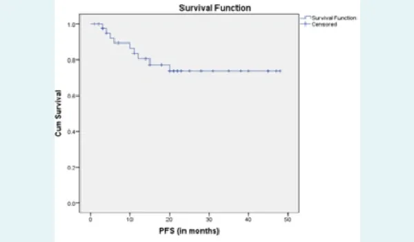 Kaplan–Meier survival curve for progression-free survival.