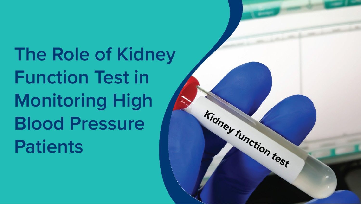 The Role of Kidney Function Test in Monitoring High Blood Pressure Patients