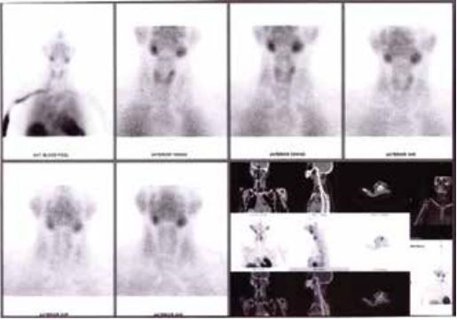 missing image