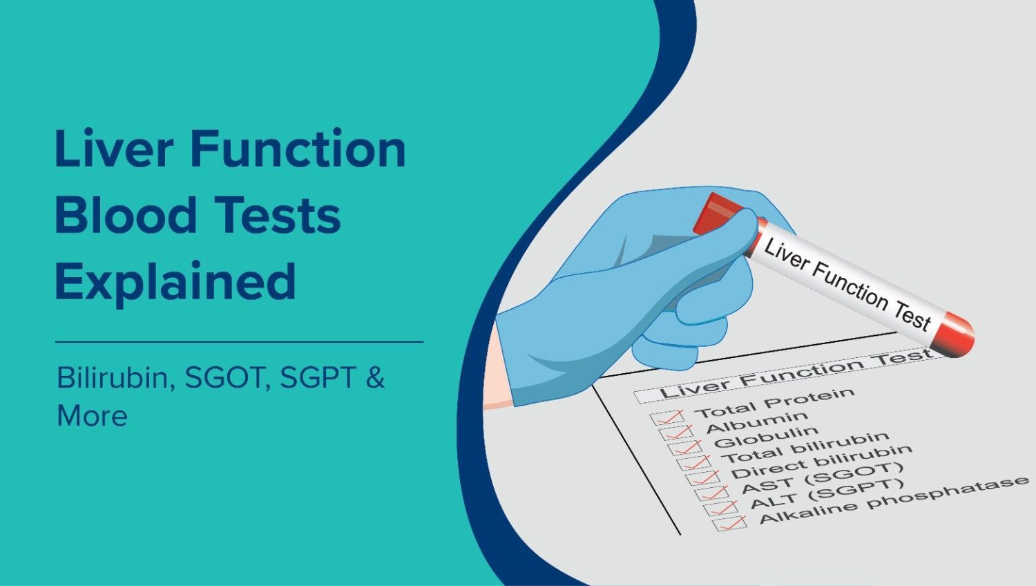 Liver Function Blood Tests Explained: Bilirubin, SGOT, SGPT & More