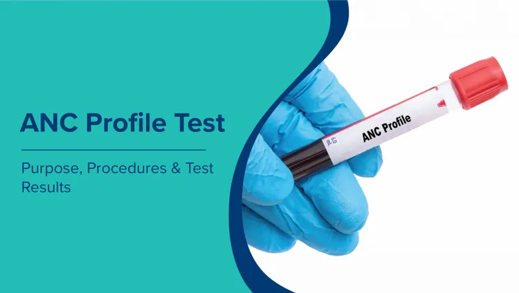 एएनसी प्रोफाइल टेस्ट को समझना (ANC Profile Test in Hindi): उद्देश्य, सामान्य सीमा और परिणाम
