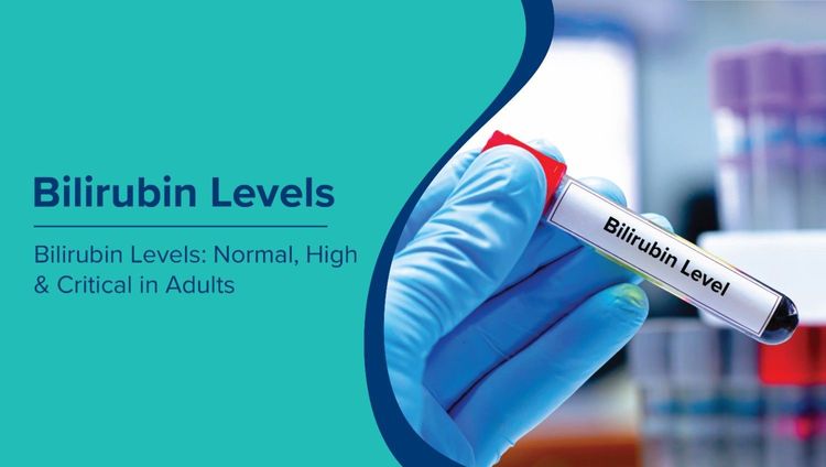 बिलीरुबिन स्तर(Bilirubin Levels in Hindi): वयस्कों में सामान्य, उच्च और गंभीर मान