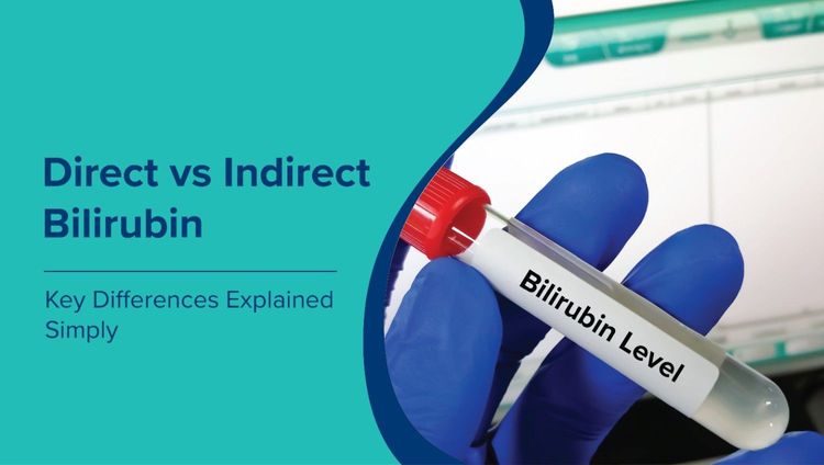प्रत्यक्ष बनाम अप्रत्यक्ष बिलीरुबिन (Direct vs Indirect Bilirubin in Hindi): मुख्य अंतरों की सरल व्याख्या