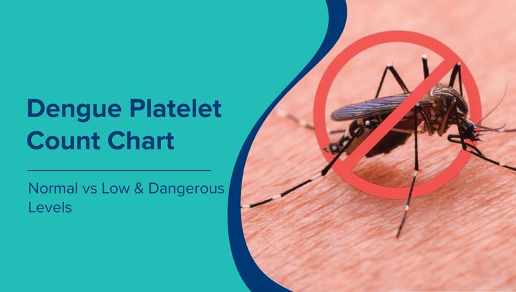 Dengue Platelet Count Chart: Normal vs Low & Dangerous Levels