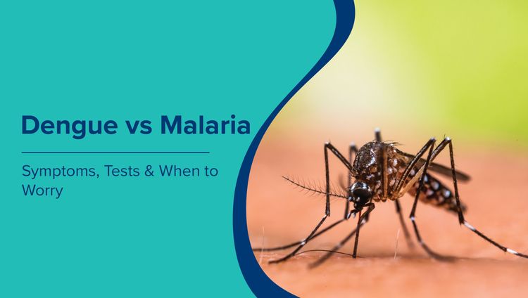 Dengue vs Malaria: Symptoms, Tests & Key Differences