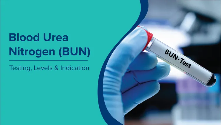 रक्त यूरिया नाइट्रोजन (Blood Urea Nitrogen Test in Hindi): परीक्षण, स्तर और संकेत