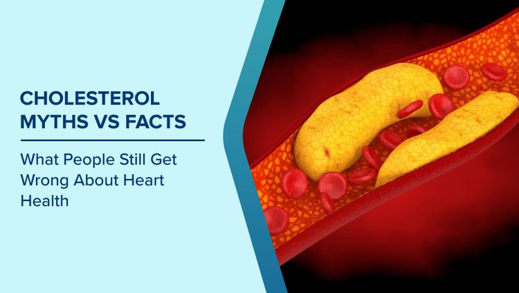 Cholesterol Myths vs Facts
