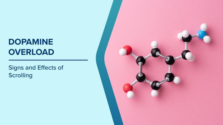 How Dopamine Affects the Brain