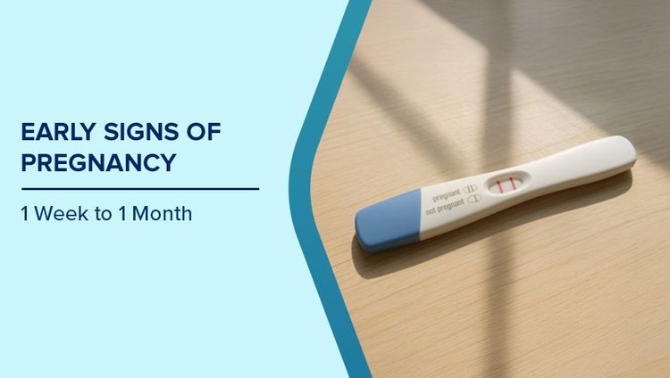 Pregnancy Week-by-Week