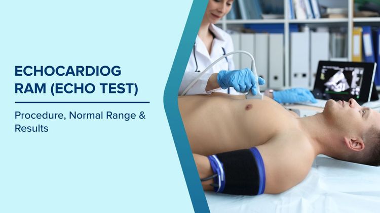 How to Prepare for Echo Test