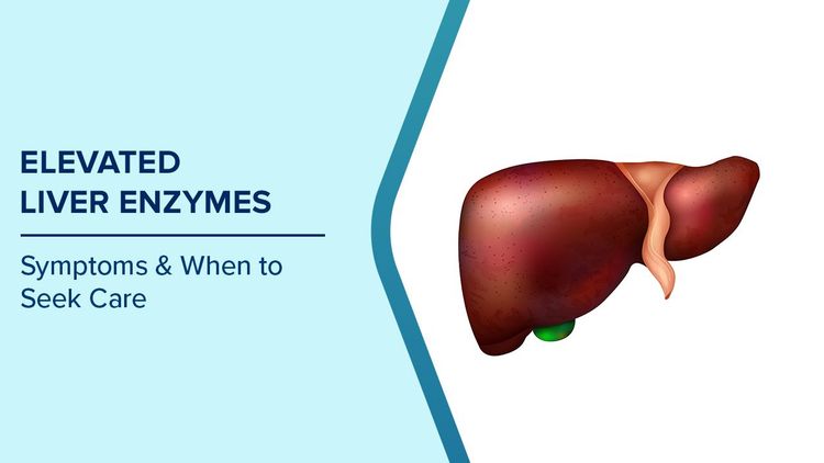What Are Liver Enzymes