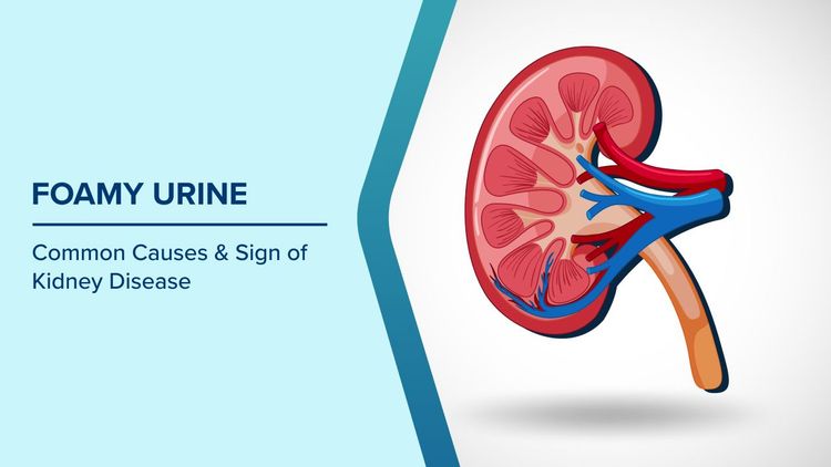 Common Causes of Foamy Urine