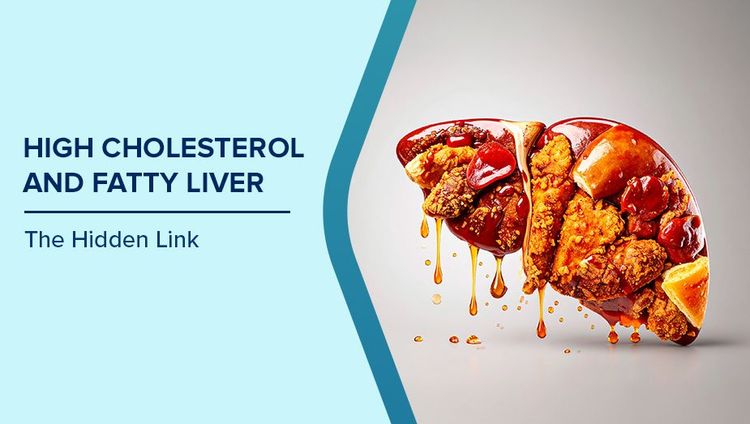How Cholesterol Affects Liver Health