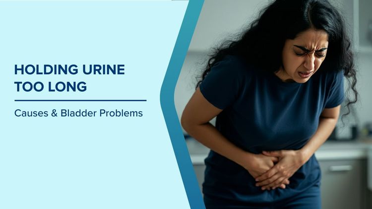 How Does the Bladder Store Urine