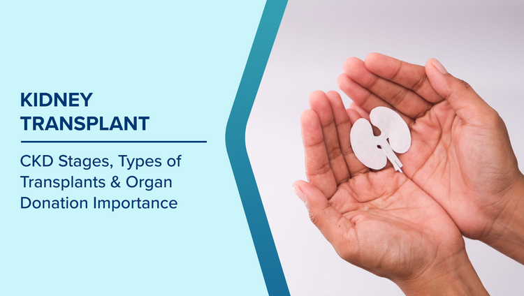 Types of Kidney Transplants