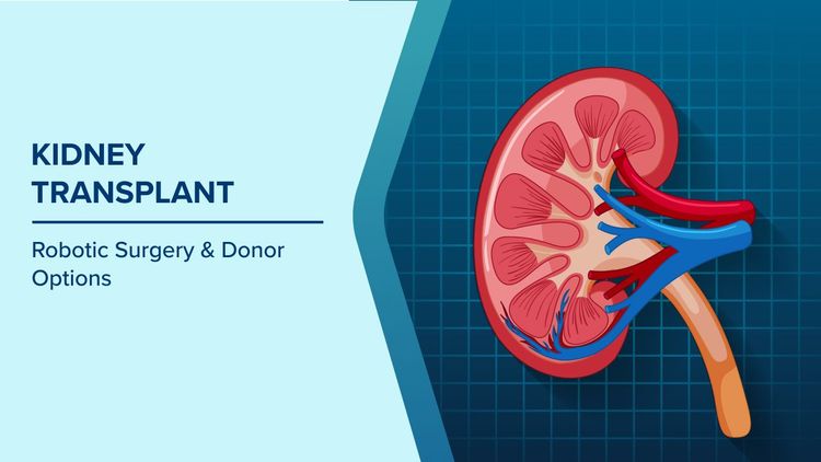 Kidney Transplant Surgery