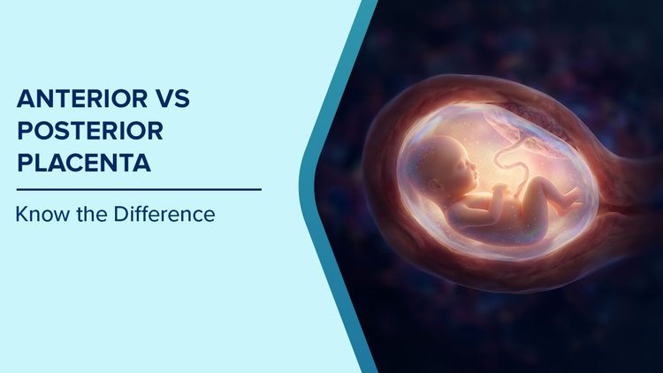 Anterior vs Posterior Placenta
