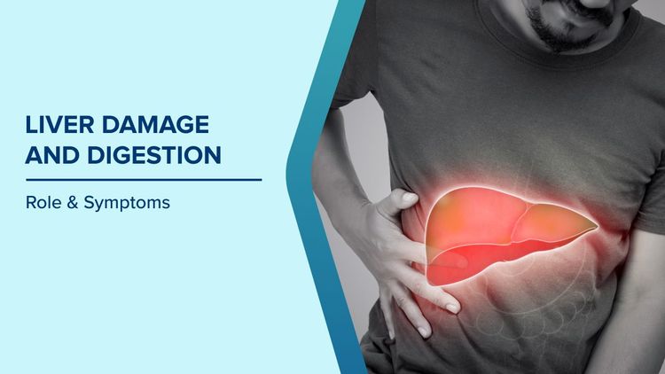 How Liver Damage Affects the Body