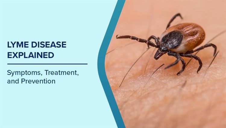Lyme Disease symptoms