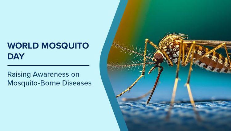 World Mosquito Day 2025