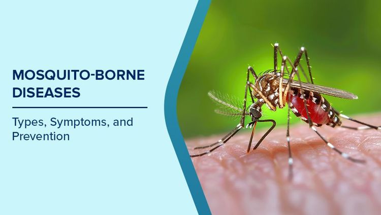 Diseases Caused by Mosquitoes