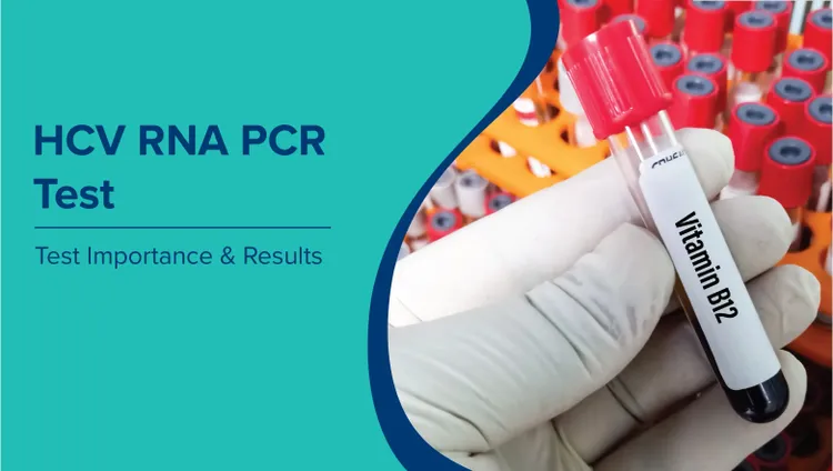 हेपेटाइटिस सी वायरस (एचसीवी) आरएनए पीसीआर परीक्षण (HCV RNA PCR Test in Hindi) के बारे में सब कुछ