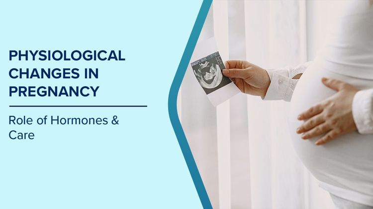 Physiological Changes in Pregnancy