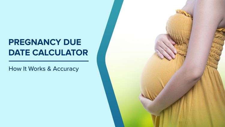 Pregnancy Month Calculator by LMP