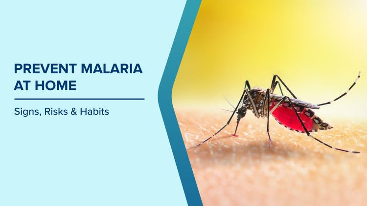 Prevent Malaria at Home