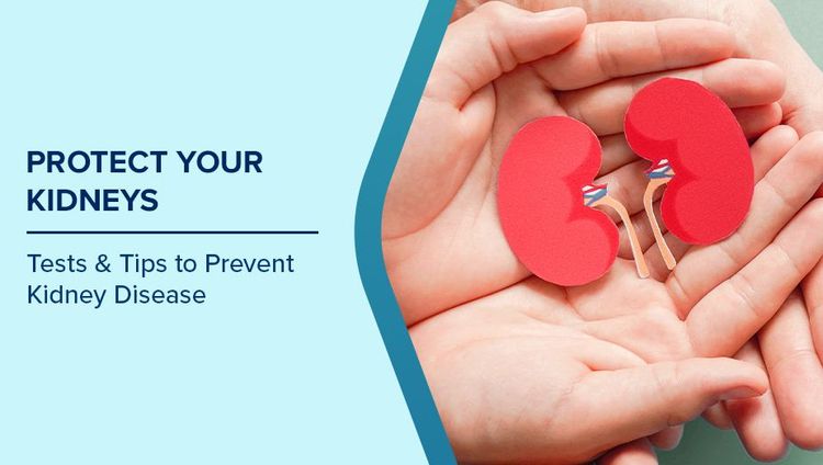 Protect Your Kidneys