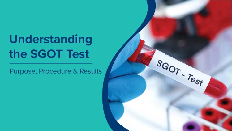 (SGOT Test in Hindi) एसजीओटी टेस्ट को समझना: उद्देश्य, प्रक्रिया और परिणाम