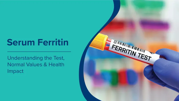 सीरम फेरिटिन टेस्ट (Serum Ferritin Test in Hindi): सामान्य मान और स्वास्थ्य प्रभाव को समझना