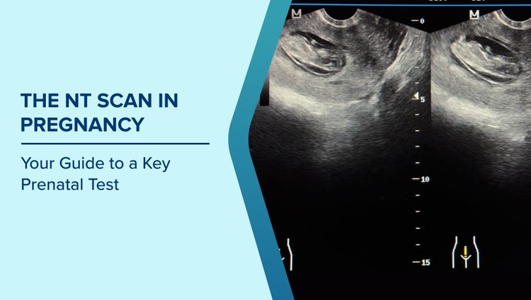 NT Scan in Pregnancy
