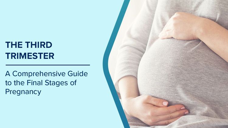 Third Trimester Pregnancy Care