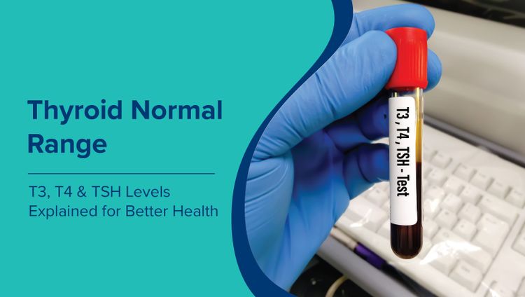 थायरॉइड सामान्य सीमा (Thyroid Normal Range in Hindi): बेहतर स्वास्थ्य के लिए T3, T4 और TSH स्तरों की व्याख्या