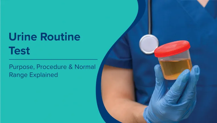 मूत्र नियमित परीक्षण (Urine Routine Test in Hindi): उद्देश्य, प्रक्रिया और सामान्य सीमा की व्याख्या