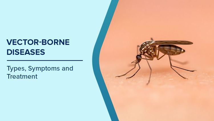 Prevention of Vector Borne Diseases