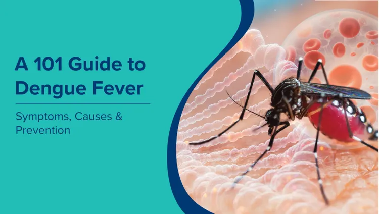 डेंगू बुखार के लिए 101 गाइड (Dengue Fever in Hindi): लक्षण, कारण और रोकथाम